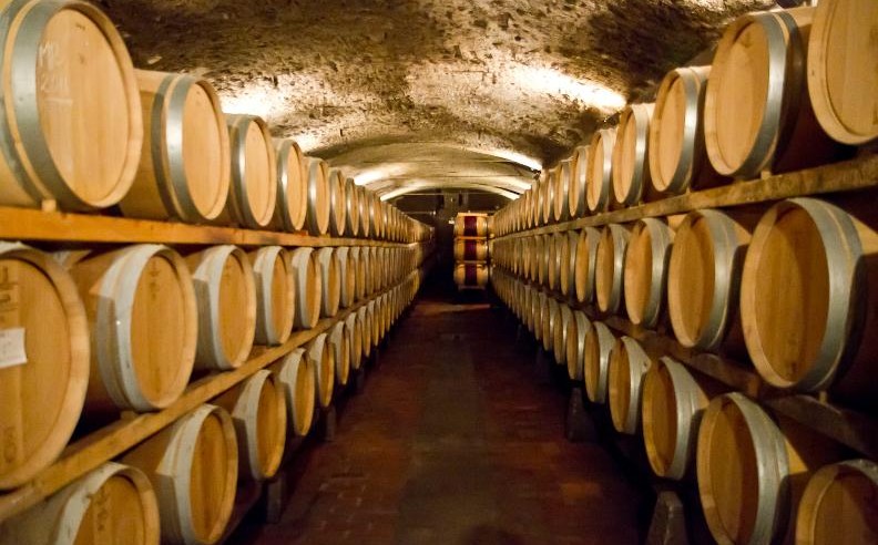 Seasonal Flavors and Dining Experiences in Florence and Rome