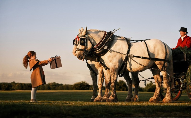تجارب طهي موسمية لا تقاوم مع فورسيزونز