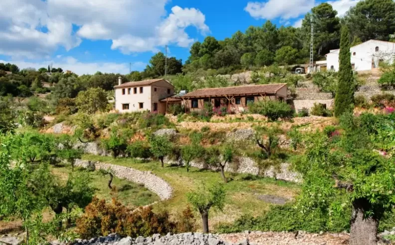 Tranquility in Alicante’s hills