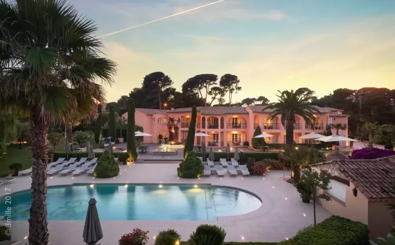 Hidden Elegance in Nature