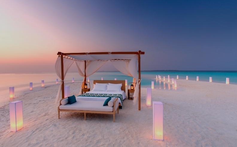 Night Diving and Ocean Wonders