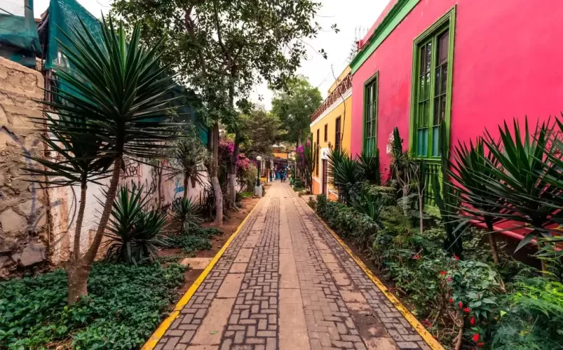 The Bohemian Neighborhoods