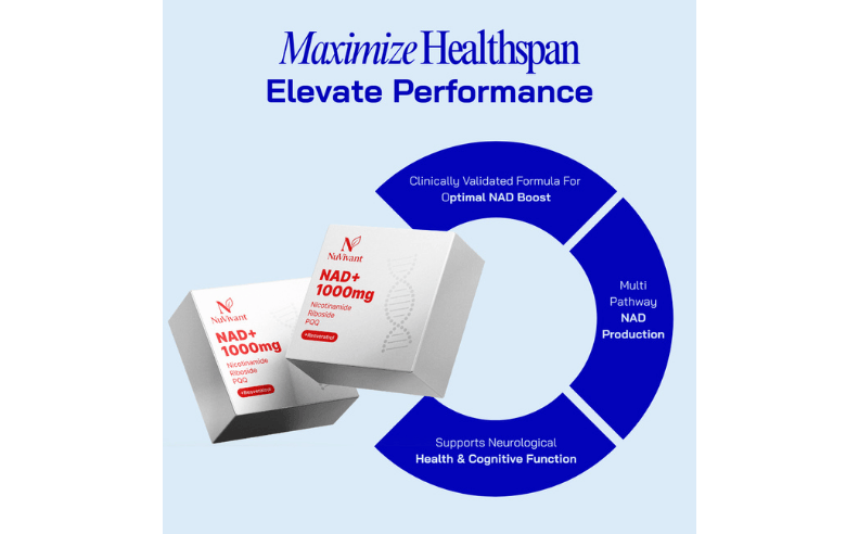 The Philosophy and Vision Behind Bien-Etre