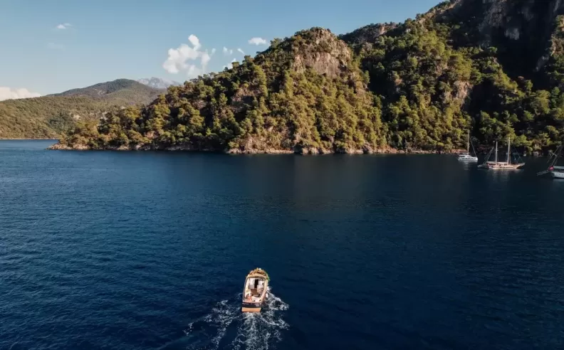 الأنشطة المحيطة