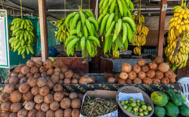 The Charm of Salalah and the South