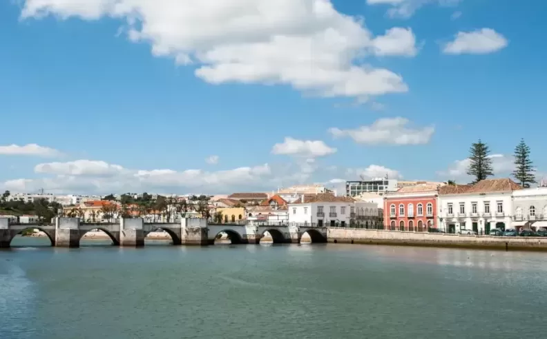 The Surrounding Neighborhood