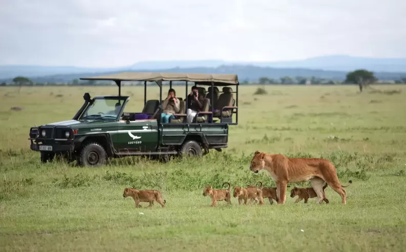 The Magic of African Roads