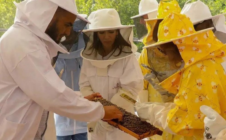 Ithara.ae Redefines Gifting with Seasonal Experiences