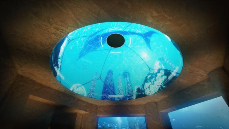 أتلانتس دبي تُعزّز ريادتها في الحفاظ على الحياة البحرية وتجارب الترفيه الحية