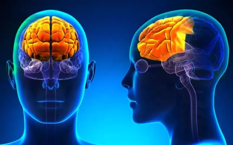 تأثير قلة النوم على الدماغ