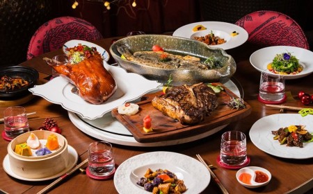 A Festive Affair at MOLI Let the Celebration Begin