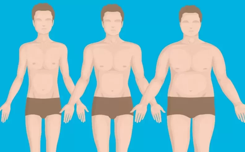 فهم نوع الجسم لتحقيق أفضل النتائج