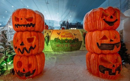 ماجيك بلانيت يطلق فعالية ماجيكوين مع عروض ترفيهية مباشرة متاحة للجميع وألعاب مجانية لا محدودة