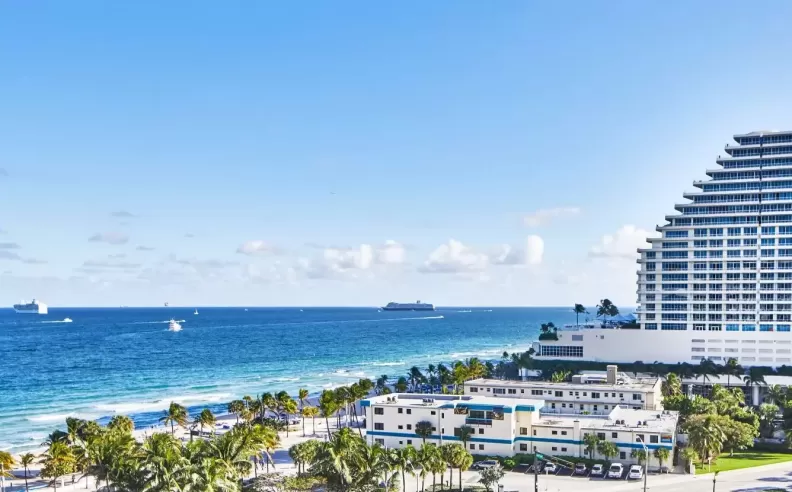 شروط العرض ومحدودية التوفر