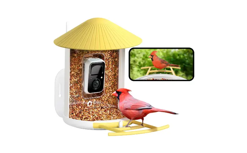 هدية لعشاق الطبيعة