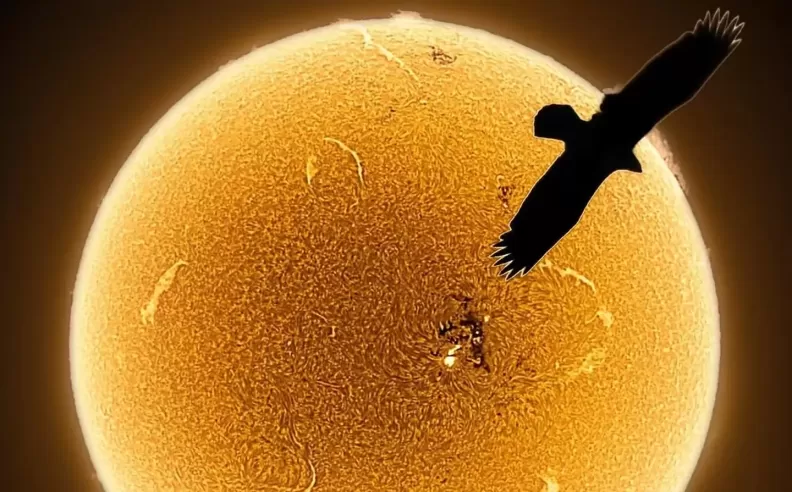 الشمس عن قرب كما لم تراها من قبل