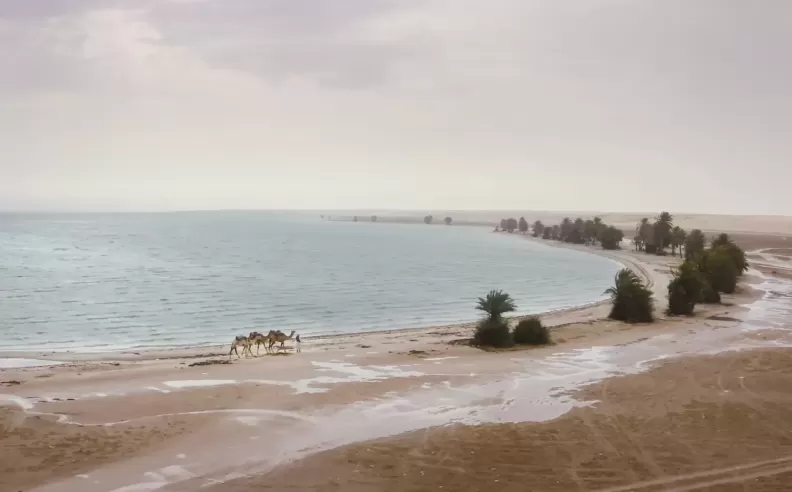 شاطئ العقير: البحر والتاريخ في مشهد واحد