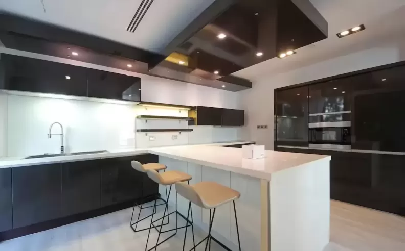 Modern Living Spaces and Elegant Kitchen