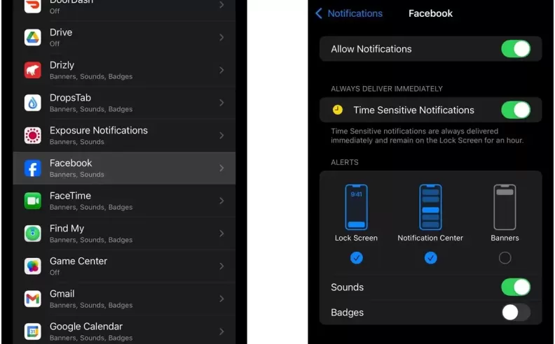 Controlling Notifications and Badge Icons