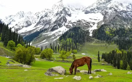 Kashmir 2025: The Ultimate Nature Escape You Cannot Miss