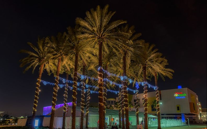 Festive Christmas Dining at The Strand