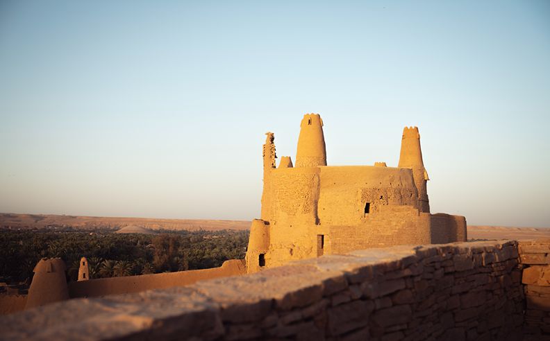 تصميم قطار حلم الصحراء وشراكاته الدولية