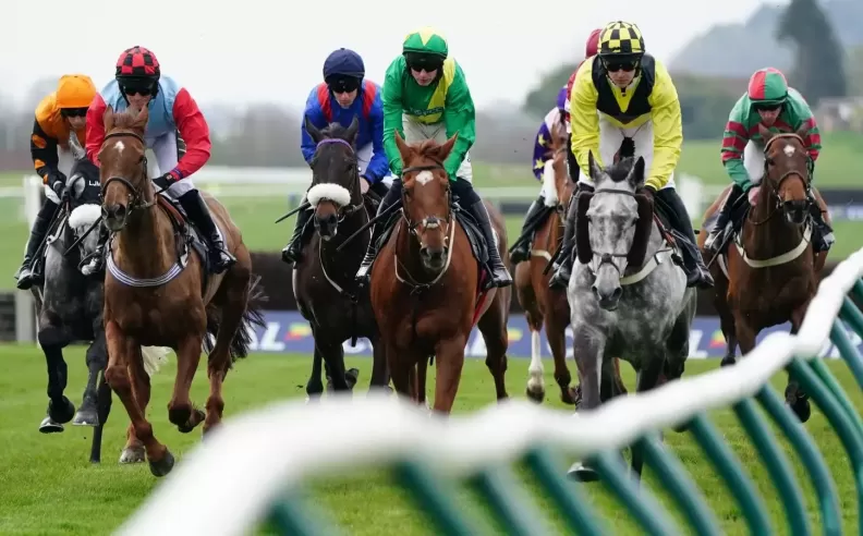 فعاليات رياضية سنوية لا يمكن تفويتها