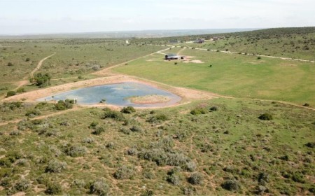 إنفي لودجز تعزز حضورها في افريقيا بافتتاح نُزل جديد في محمية إنفي أدو الخاصة في جنوب أفريقيا