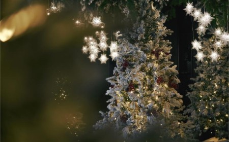 The Party’s On at Club Iris This Festive Season