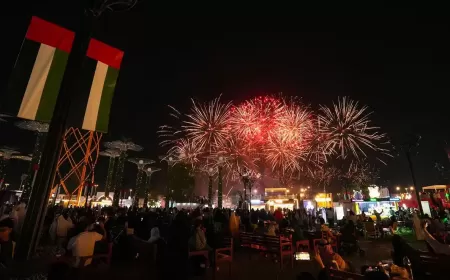 Where to Go in Dubai for the UAE National Day Holiday: Top Festive Destinations