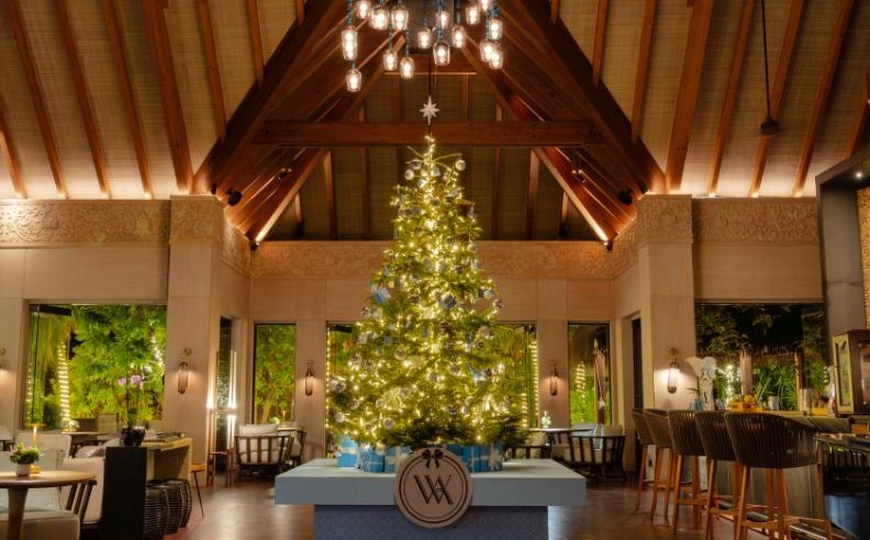 The Grand Finale: New Year’s Eve Under the Stars