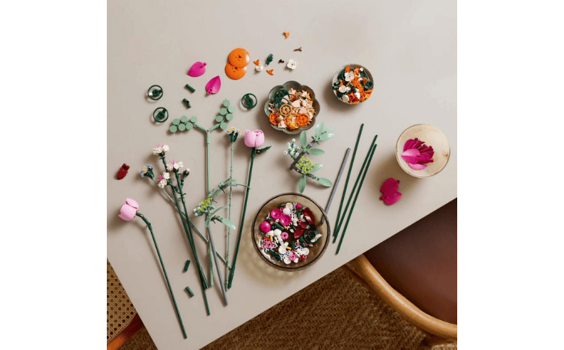 Animation Adventure & Timeless Flowers