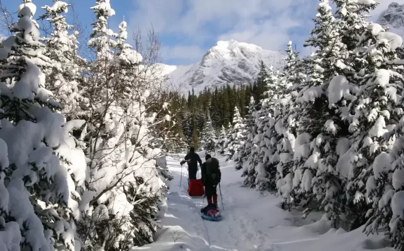 Hidden Camps Along the Trail
