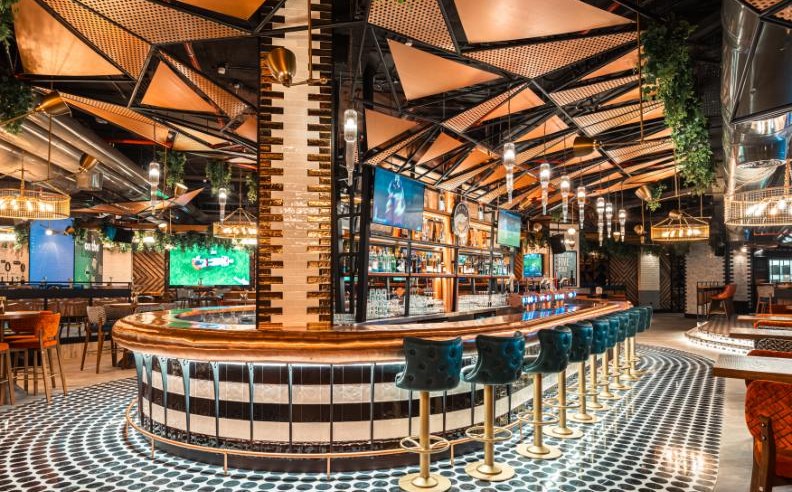 Experience Highlights