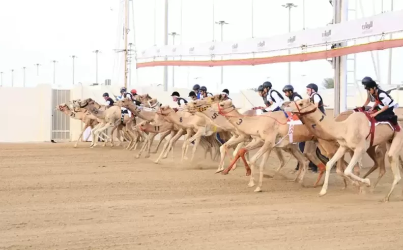 انطلاقة تراثية تفتح الموسم