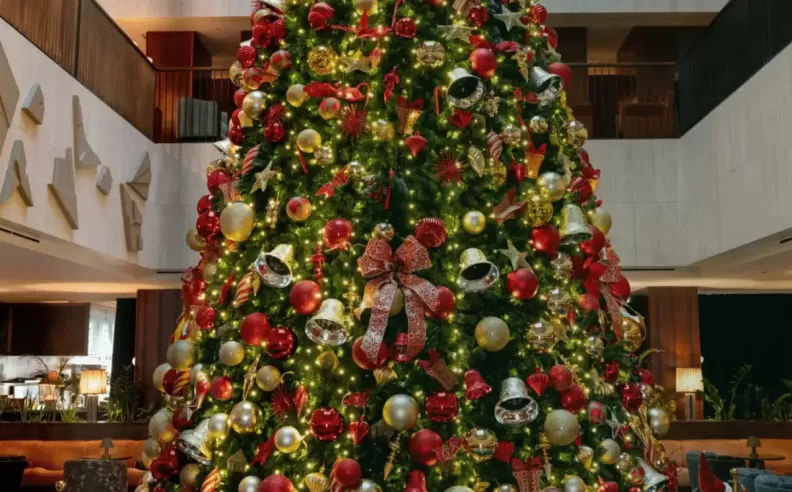 Seasonal Markets with a Social Twist