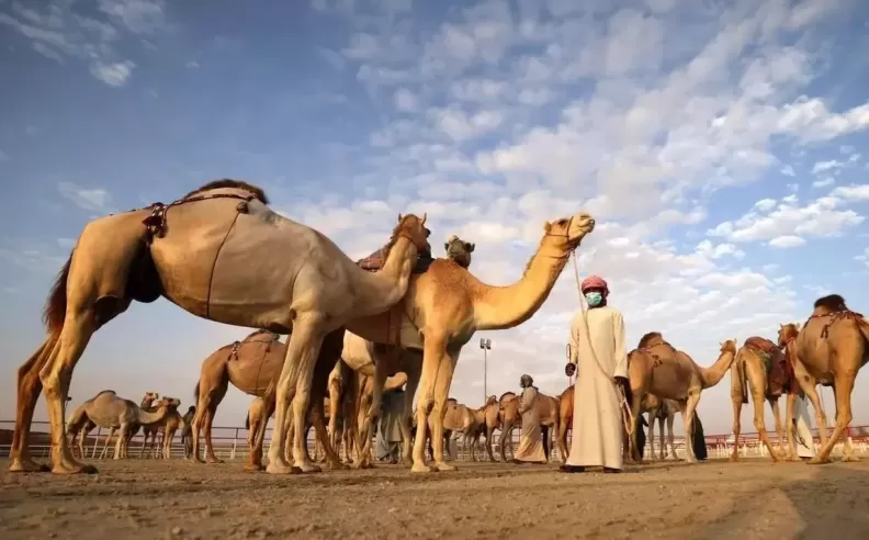 A Gulf Heritage Gathering