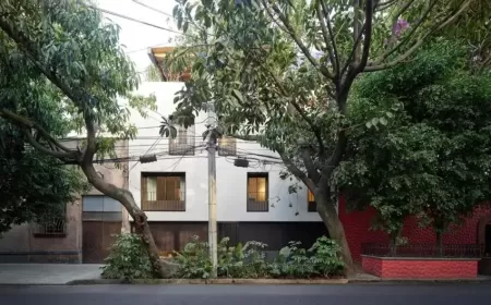 Why Hotel Dama Mexico City Is the Boutique Stay Redefining Urban Travel Style?