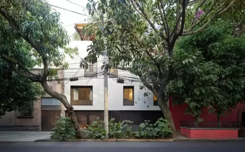 Why Hotel Dama Mexico City Is the Boutique Stay Redefining Urban Travel Style?