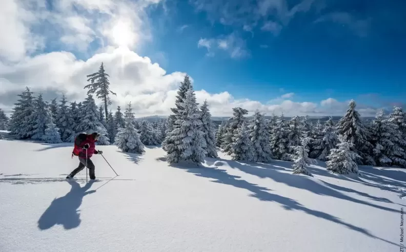 موسم الاحتفالات الشتوية في ألمانيا: تجربة أوروبية بطابع دافئ