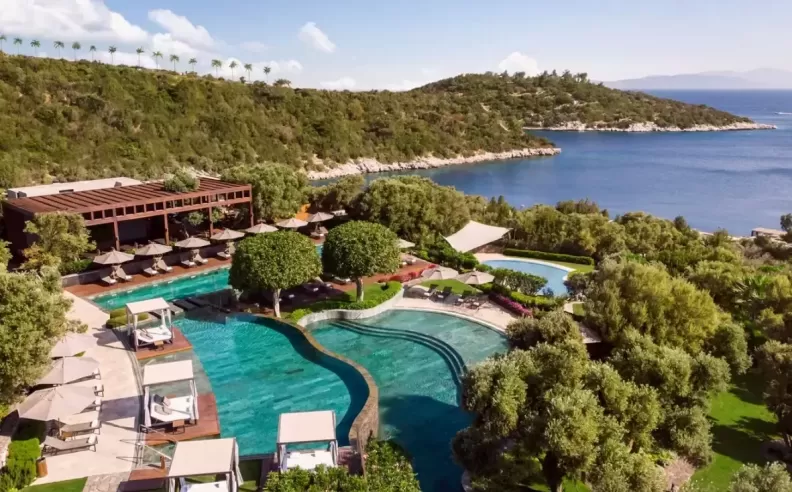 Hotels That Shape the Destination