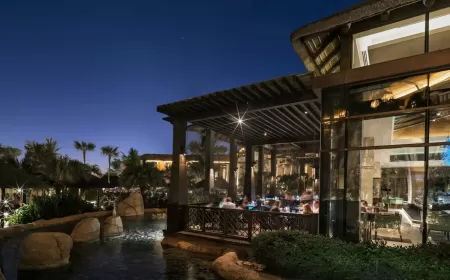 عيد ميلاد بنكهة الفخامة: كيف يقدم Sofitel Dubai The Palm تجربة احتفال مختلفة