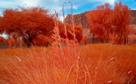 Arduna - Contemporary art museum in AlUla presents landmark exhibition co-curated in partnership with Centre Pompidou