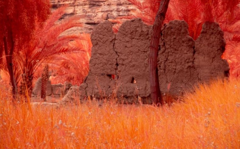 الأعمال الفنية الفردية والتجارب التركيبية