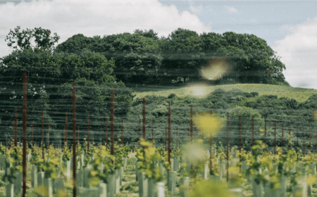 Top ten farm stays and natural dining experiences across Britain