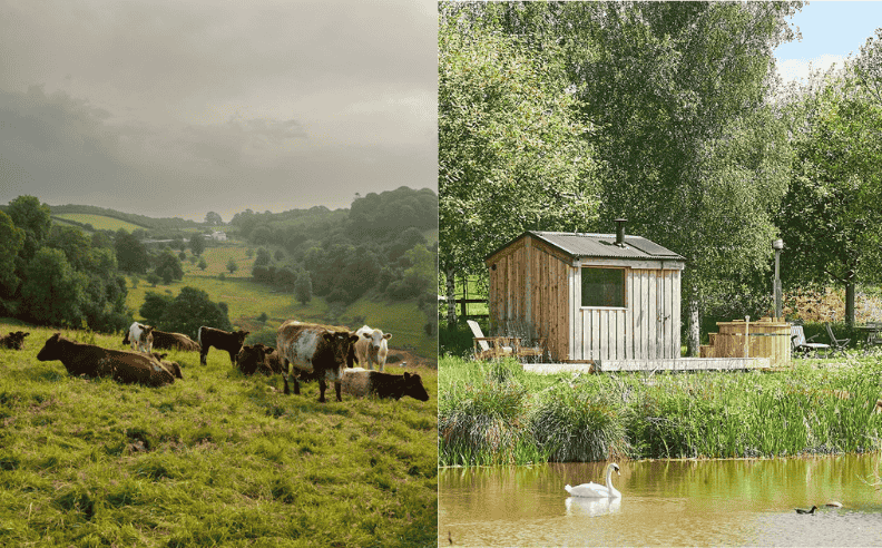 Luxury farm stays and vineyard escapes