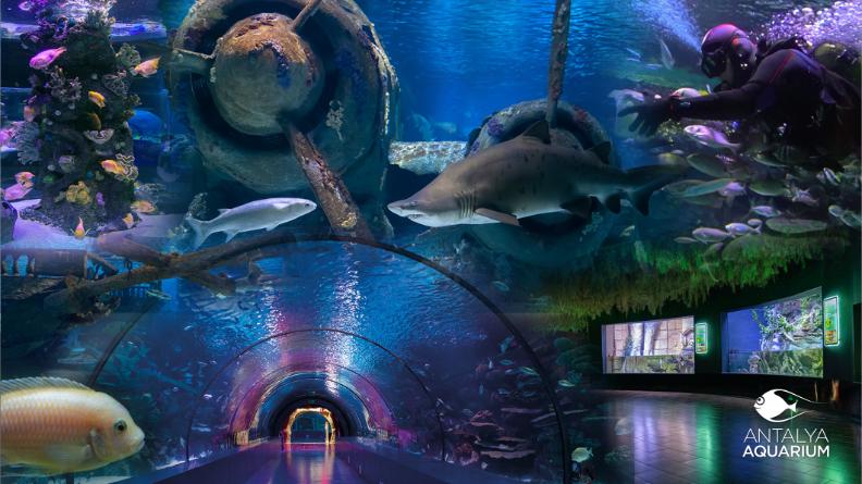 مغامرات وطبيعة في أنطاليا