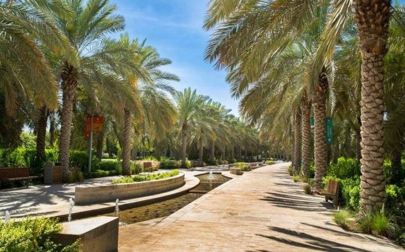 The Cove House Unveils a New Wonderland Experience at Umm Al Emarat Park