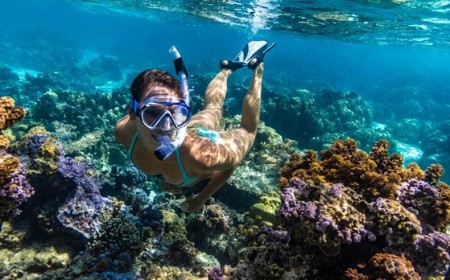 احتفلوا بعيد الحب على وقع أمواج البحر في منتجع لو ميريديان شاطئ العقّة