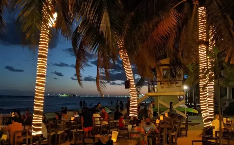 عشاء شاطئي فاخر في زينزي